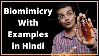 Biomimicry  Biomimicry in Hindi  Understanding Nature Better with Biomimicry  Dr Padmakar Kumar [upl. by Lerual325]