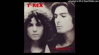 T Rex  Ride a white swan 1970 magnums extended mix [upl. by Alomeda602]