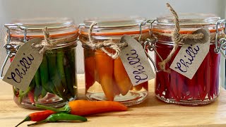 How to make PICKLED CHILLI PEPPERS easy recipe  Italian Pickles recipe uomodicasa [upl. by Ledba727]