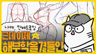 나야인체드로잉 근데 이제 해부학을 곁들인 [upl. by Einitsed356]