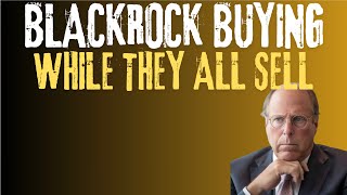 Why Blackrock is buying while everyone sells Valuations is key [upl. by Alyal]