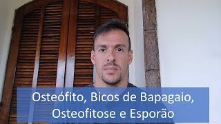 OSTEÓFITO BICOS DE BAPAGAIO OSTEOFITOSE E ESPORÃO [upl. by Hobbie]