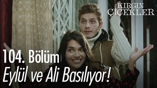 Eylül ve Ali basılıyor  Kırgın Çiçekler 104 Bölüm [upl. by Tennos853]