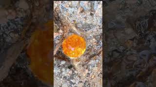 Digging agates agates crystal satisfying quartz stone crystalstone [upl. by Robers975]