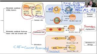 Cancer microenvironment how to prevent part 1 milieu [upl. by Ivetts79]