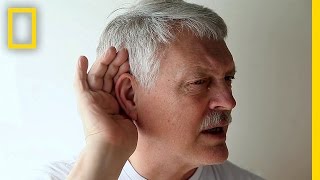 Take the HighFrequency Hearing Test  Brain Games [upl. by Nore]