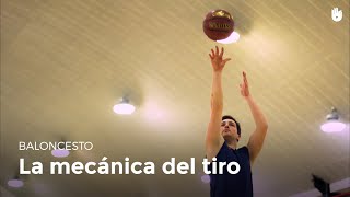 Cómo tirar a canasta  Baloncesto [upl. by Broeker293]