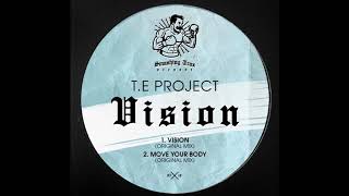 TE Project  Vision Original Mix [upl. by Am]