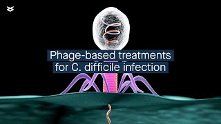 Using bacteriainfecting viruses to fight pathogens in the gut [upl. by Eojyllib]