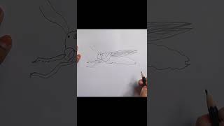 Grasshopper drawing drawing art sketch easydrawing grasshopper [upl. by Nhguahs]