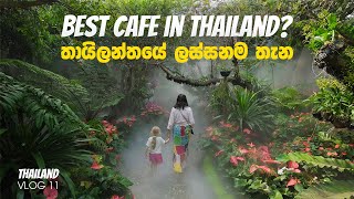 Most Beautiful Cafes in Chiang Rai  Lalitta Cafe  Akha Farmville [upl. by Drawe]