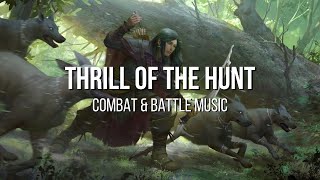 Thrill Of The Hunt  RPGDampD Combat amp Battle Music  1 Hour [upl. by Luhe]