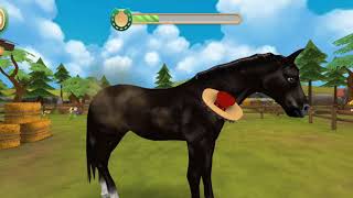 Horse Hotel Gameplay Horse Game [upl. by Aronek]