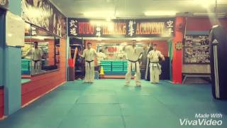 Mohamad harake champion Lebanon shinden kai karate kyokushin wko kata sushiho BUDO HARAKE [upl. by Elena520]