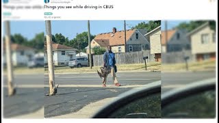 New details uncovered about viral goose photo as Springfield’s immigration surges  WHIOTV [upl. by Shurlock28]