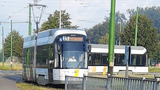 Bombardier Flexity 2 ALBATROS XL Delijn 73xx 🇧🇪 [upl. by Harve]