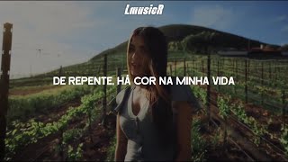 Now United  Momento TraduçãoLegendado [upl. by Onfre775]