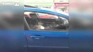 Cane boxer suona il clacson in auto [upl. by Aniez361]