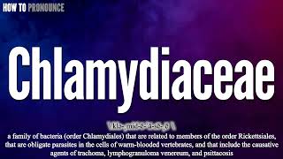 Chlamydiaceae Pronunciation  How to Pronounce say Chlamydiaceae CORRECTLY  Meaning Definition [upl. by Annohsat]