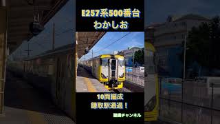 E257系500番台わかしお 10両編成 鎌取駅通過！ ラッピング車両 [upl. by Reinnej]