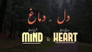 HeartampMind🧠💚🫀دلاوردماغ [upl. by Nauqad]