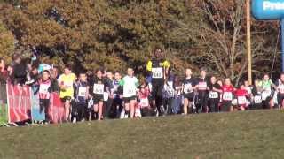 Cross National de lErdre 2013  Poussins [upl. by Anivad]