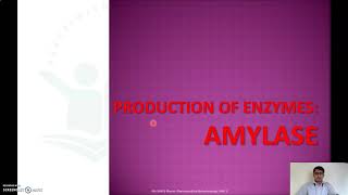 Production of Amylase Enzyme Fermentative and Recombinant DNA methods Applications of Amylases [upl. by Llenrad574]