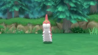 HOW TO GET Wurmple in Pokemon Brilliant Diamond and Shining Pearl [upl. by Anthea]