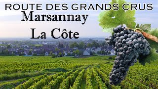 Route des Grands Crus  MARSANNAYLACOTE [upl. by Kessel]