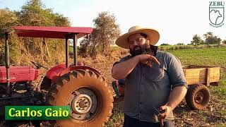 Instalação do eletrificador solar da Zebu na propriedade de Carlos Gaio [upl. by Rhines24]