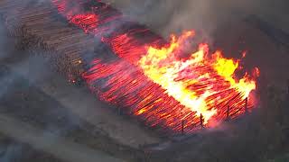 Raw video Fire breaks out at lumber mill in Molalla Oregon [upl. by Belden]