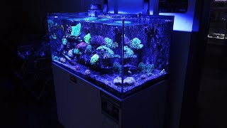 MAGNIFIQUE AQUARIUM RÉCIFAL AQUAWORLD [upl. by Metsky]