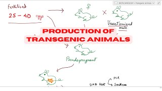 Transgenic animal production  Transgenic technology  Animal Biotechnology [upl. by Hoshi816]