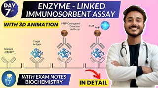 enzyme linked immunosorbent assay elisa biochemistry  Animation [upl. by Valerio]