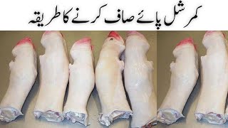 Paye Saaf Karnay Ka Commercial Tarika 🐂 بلکل آسان طریقہ  Easy Cow Legs Cleaning  Cow Legs Clea [upl. by Yonina75]