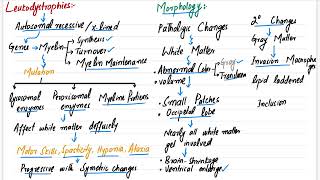 Leukodystrophies  CNS PATHOLOGY  Robbins pathology  Pathology lecture robbinspathologymedicine [upl. by Dryden]