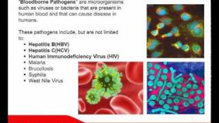 Bloodborne Pathogen Training Bloodborne Pathogen Video [upl. by Encratia]