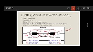 MITEs  Miniature Inverted Repeat Transposable Element Transposons Jumping genes [upl. by Erialb916]