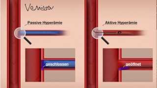 Aktive und Passive Hyperämie Manuelle Lymphdrainage [upl. by Chabot]