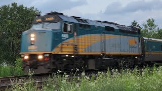 Nice Driver 2 Hours amp 27 Minutes Late VIA 75  6409 In Lynden Ontario [upl. by Wash]