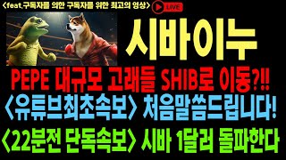 시바이누 시바이누코인 시바이누코인전망 PEPE SHIB DOGE 일론머스크 시바리움 소각 저스틴선 비트코인 이더리움 도지코인 [upl. by Androw]