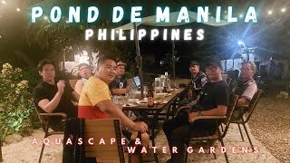 Team Pond De Manila Philippines Aquascape amp Water Gardens [upl. by Anirbys]