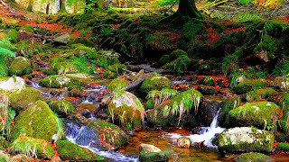 Relaxing sound of the mountain stream  Kippure Bridge Ireland Sleep Meditation HQ STEREO NO ADS [upl. by Borgeson]