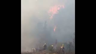 Involved Wildland Fire In The Forest Rydal GA 101716 [upl. by Paymar]