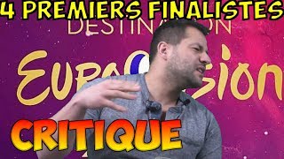 Destination Eurovision 2019 Critique 1er demi finale [upl. by Khai610]