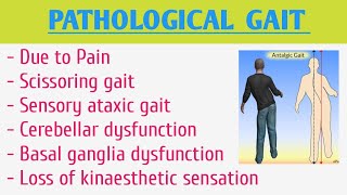 Pathological Gait [upl. by Abigael]