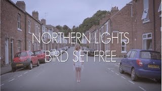 Northern Lights  Bird Set Free  Sia  A Cappella Cover [upl. by Effie]