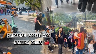 Most crowded forest zoo in china  HONGSHAN FOREST ZOO  NANJING CHINA 🇨🇳 [upl. by Ezitram]