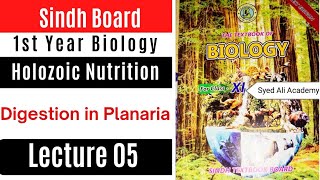 digestion in planaria  holozoic nutrition class 11 biology Sindh board new book  1st year biology [upl. by Emlin]