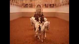 The Spanish Riding School of Viennas November 2014 European Tour [upl. by Ahseuqal]